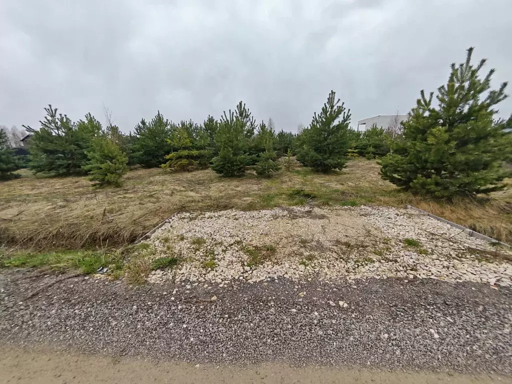 Участок в Московская область, Раменское ул. Июльская (6.0 сот.) - Фото 1