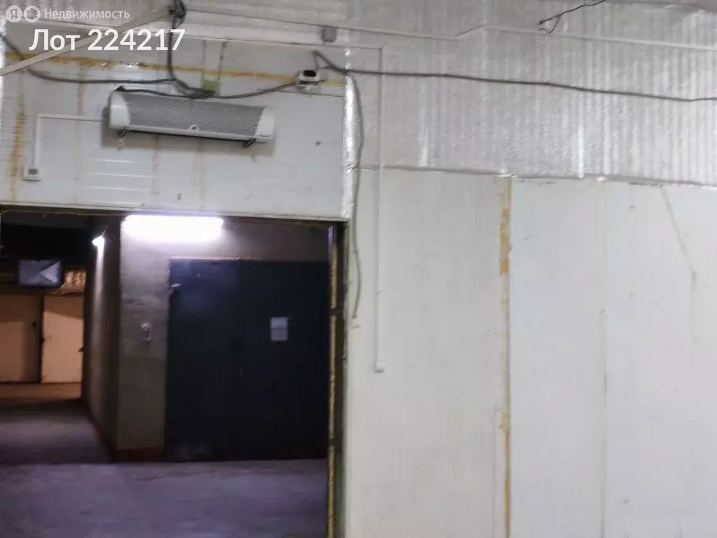 Помещение свободного назначения (2600 м) - Фото 2