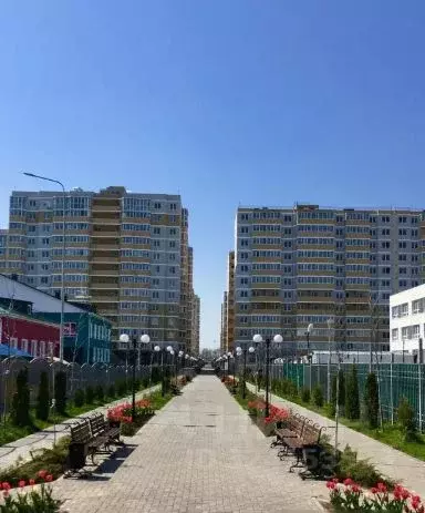 Студия Краснодарский край, Краснодар ул. Красных Партизан, 1/3к5 (26.7 ... - Фото 1