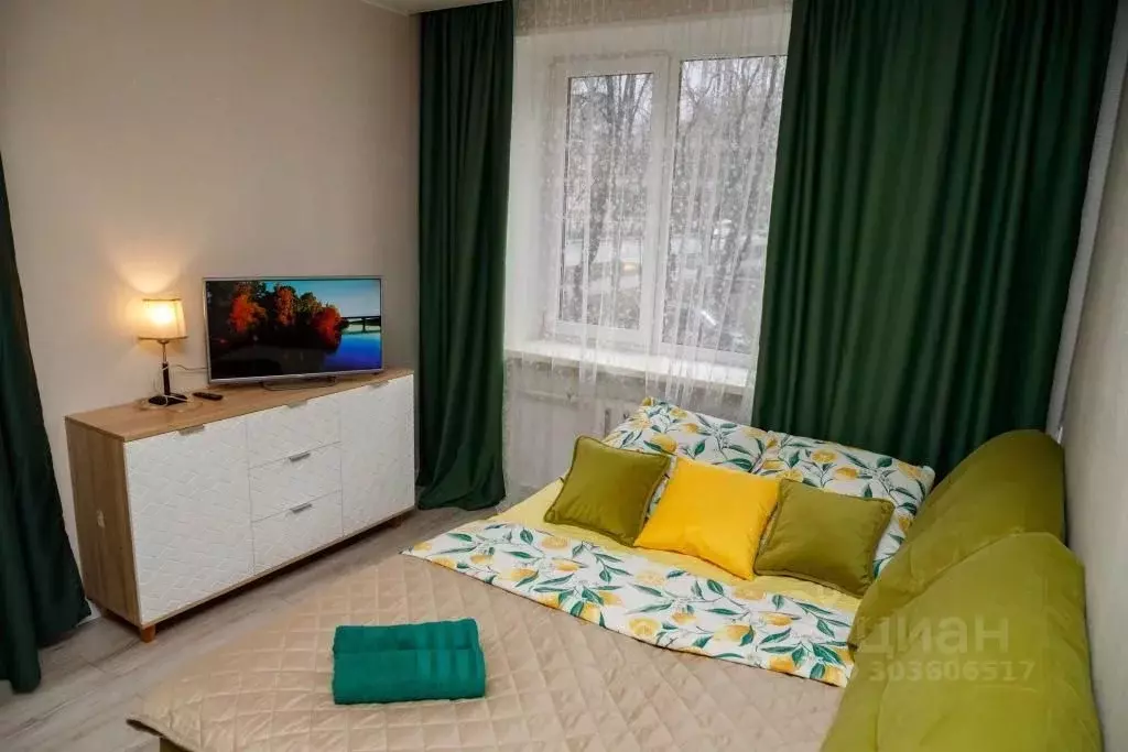 1-к кв. Московская область, Пушкино Московский просп., 34 (32.0 м) - Фото 2