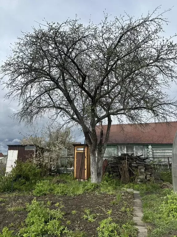 Участок 5 сот. (СНТ, ДНП) - Фото 0