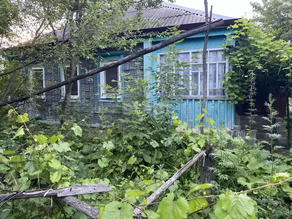 Дом в Белгородская область, Новооскольский муниципальный округ, с. ... - Фото 0