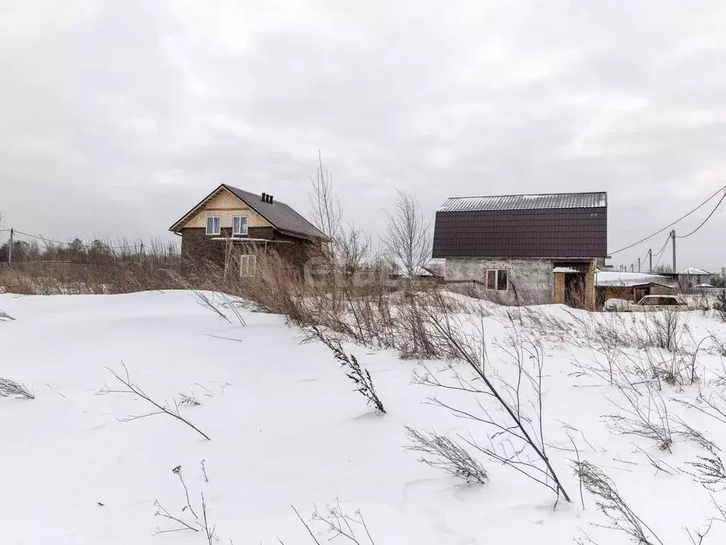 Участок в Новосибирская область, Новосибирский район, Станционный ... - Фото 1