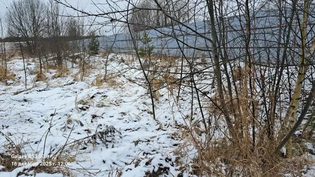 Участок в Московская область, Истра муниципальный округ, д. Дьяково 20 ... - Фото 2