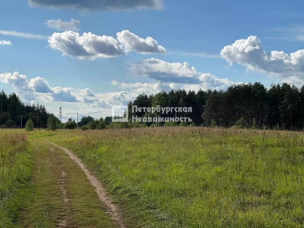 Участок в Ленинградская область, Тихвин ул. Карла Маркса (81.5 сот.) - Фото 0