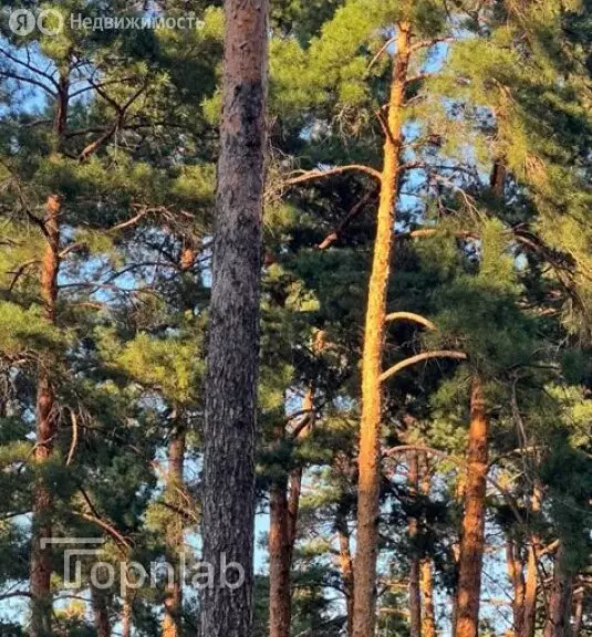 Участок в Звенигород, микрорайон Верхний Посад (81.21 м) - Фото 1