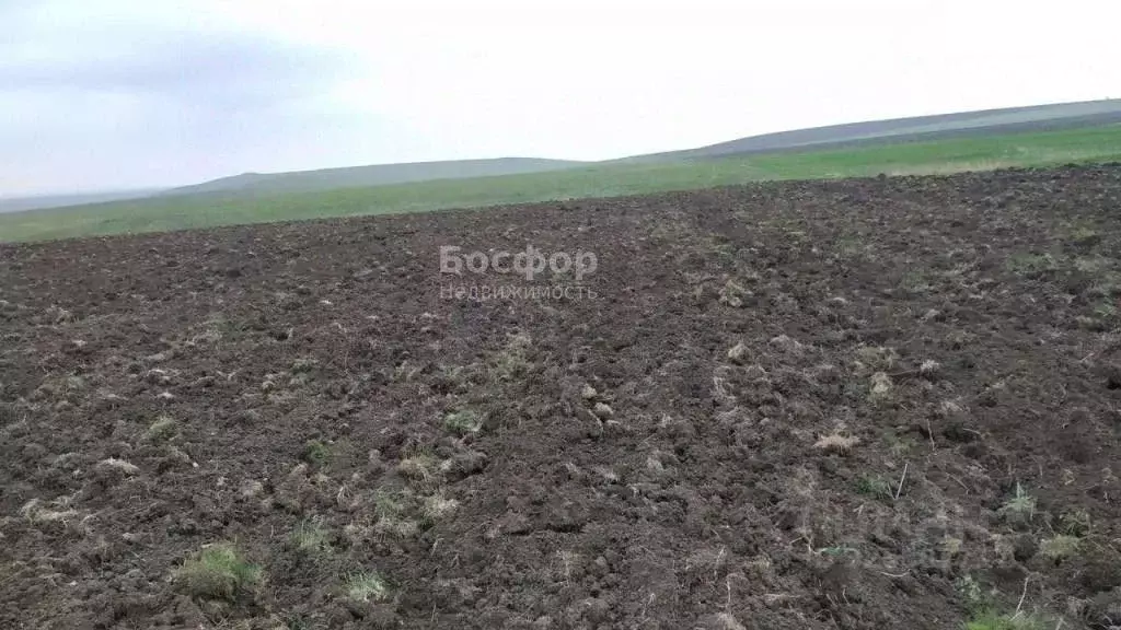 Участок в Крым, Кировский район, Журавское с/пос, с. Видное ул. ... - Фото 2