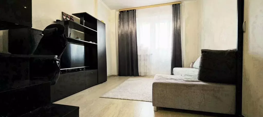 Студия Московская область, Щелково Богородский мкр, 16 (29.4 м) - Фото 2