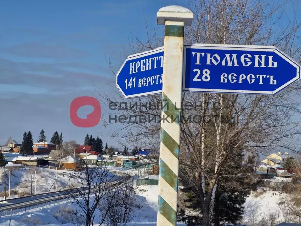 Участок в Тюменская область, Тюменский район, с. Каменка Ирбитская ул. ... - Фото 1