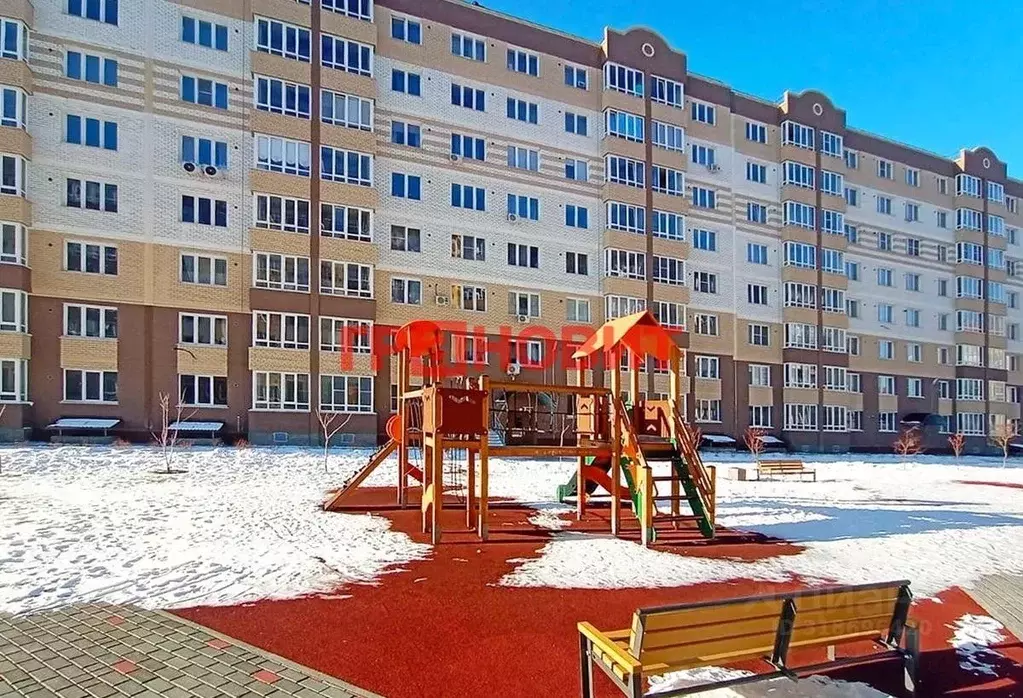 1-к кв. Новосибирская область, Новосибирский район, Мичуринский ... - Фото 1