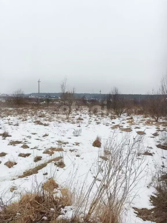 Участок в Курская область, Курский район, Моковский сельсовет, д. ... - Фото 1