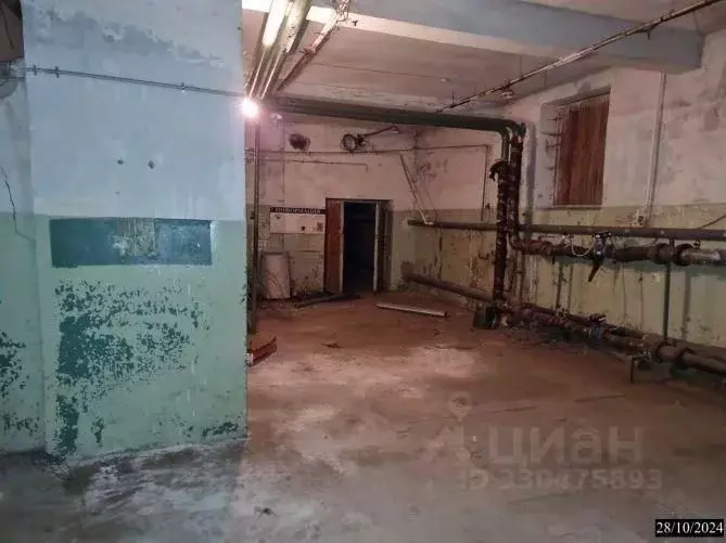 Помещение свободного назначения в Нижегородская область, Нижний ... - Фото 1