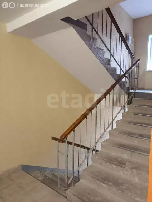 1-комнатная квартира: посёлок Красный Бор, квартал Светлояр, 1к4 (38 ... - Фото 1