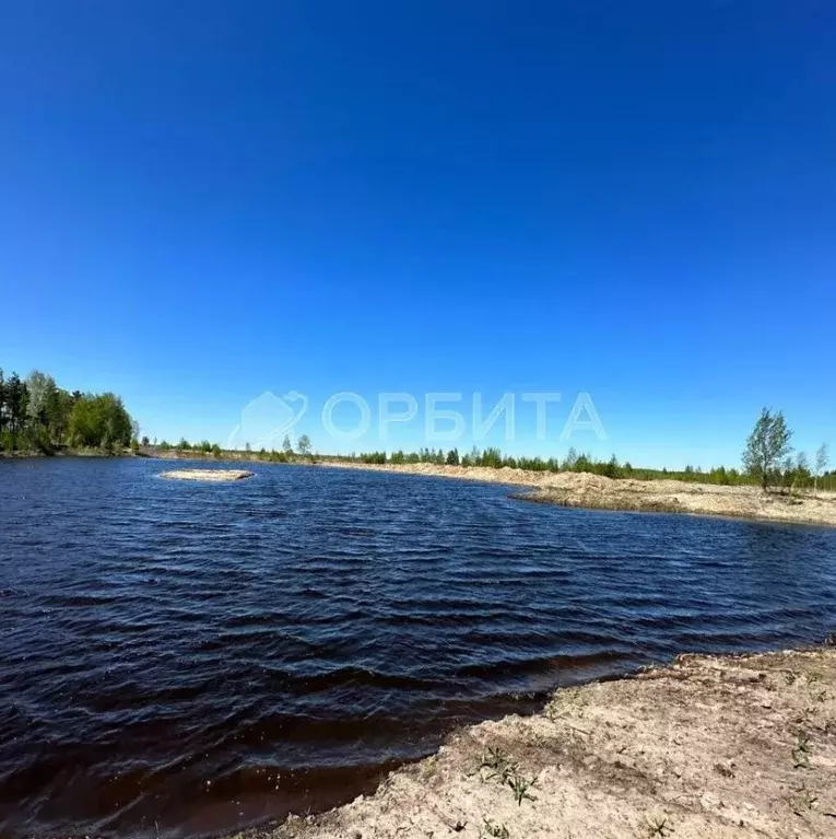 Участок в Тюменская область, Нижнетавдинский район, Строитель ТСН ул. ... - Фото 1
