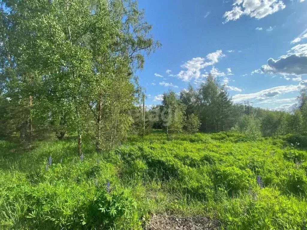 Участок в Владимирская область, Петушинский муниципальный округ, д. ... - Фото 2