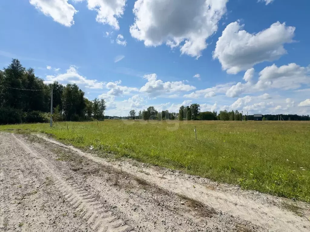 Участок в Тюменская область, Тюменский муниципальный округ, Дачи Хюгге ... - Фото 1