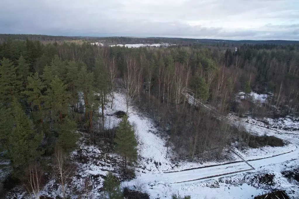 Участок в Карелия, Лахденпохский муниципальный округ, пос. Терваярви ... - Фото 2
