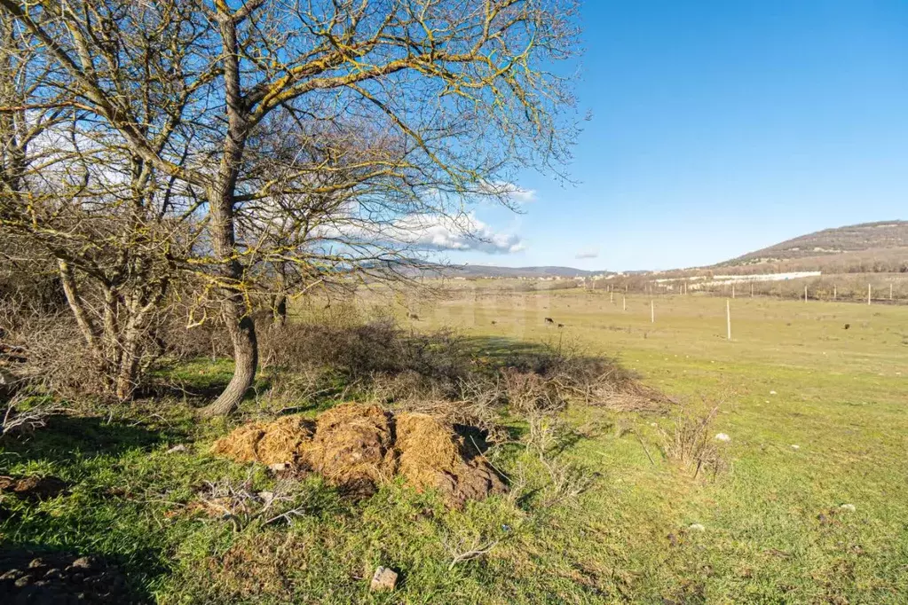 Участок в Севастополь с. Новобобровка, ул. Животноводов (15.0 сот.) - Фото 1