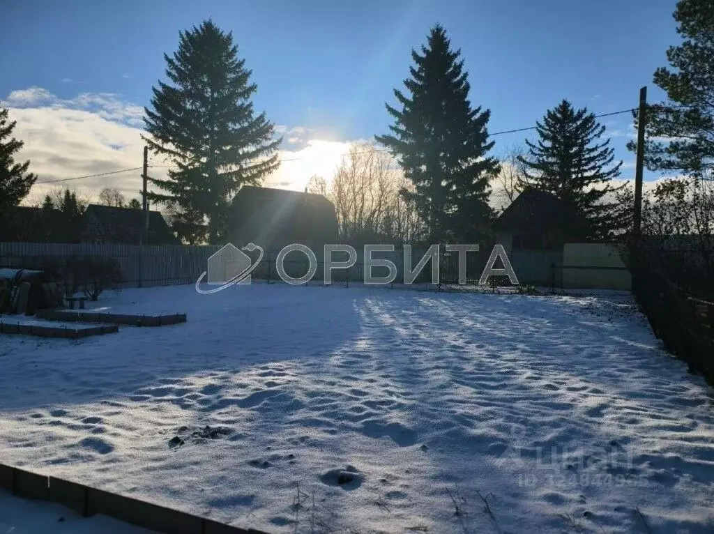 Участок в Тюменская область, Тюмень Подорожник СНТ, ул. Грушевая (4.0 ... - Фото 2