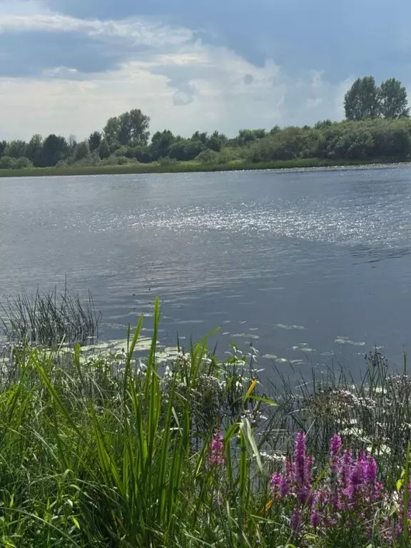 Участок в Нижегородская область, Бор Октябрьский р-н, ул. Волжская ... - Фото 1