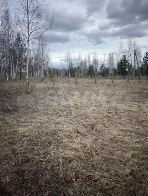 Участок 10 сот. (ИЖС) - Фото 1