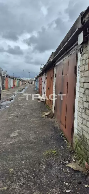 Гараж в Воронежская область, Воронеж Рижская ул., 9 (21 м) - Фото 1
