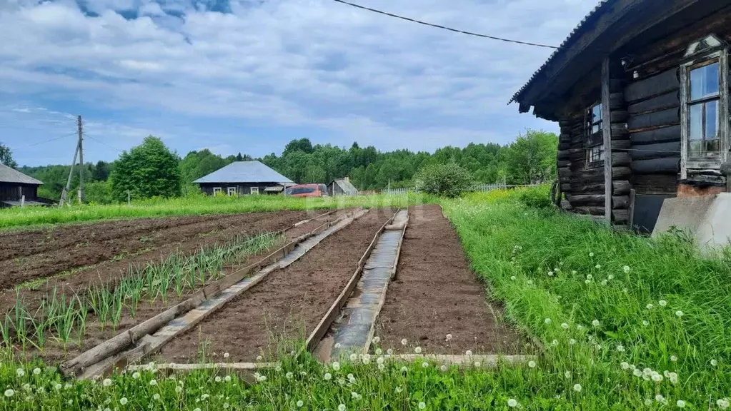 Дом в Пермский край, Усольский район, с. Пыскор, д. Плеханово ул. ... - Фото 0