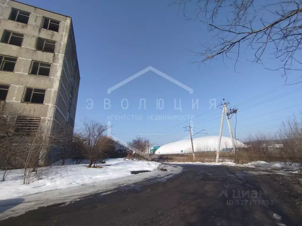 Участок в Калининградская область, Калининград Родник СНТ, ул. ... - Фото 1