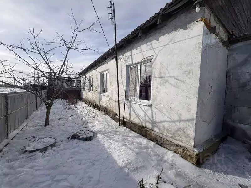 Дом в Белгородская область, Корочанский район, Шеинское с/пос, с. ... - Фото 1