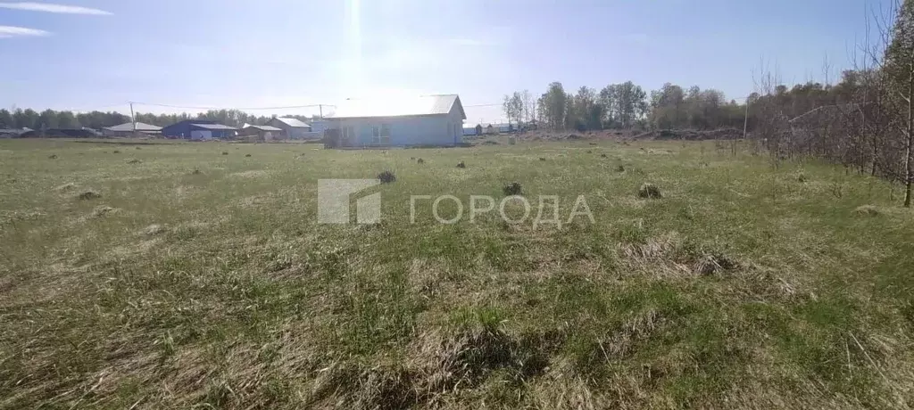 Участок в Алтайский край, Первомайский район, с. Фирсово Палитра жилой ... - Фото 1