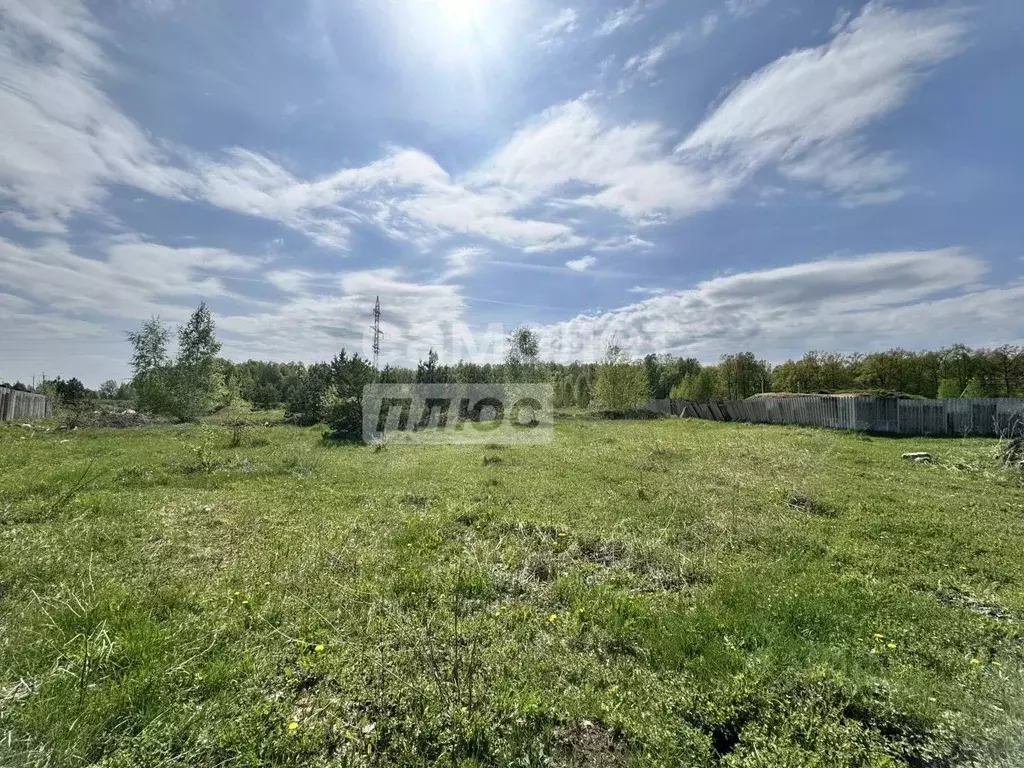 Участок в Ульяновская область, Мелекесский район, Мулловское городское ... - Фото 0