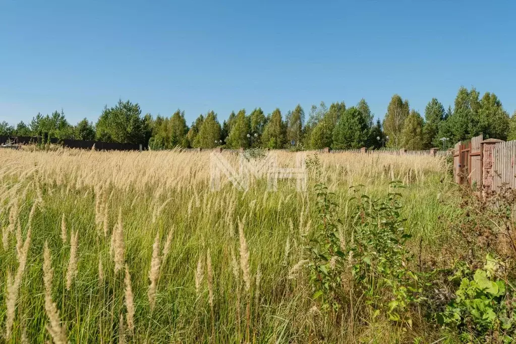 Участок в Московская область, Наро-Фоминский городской округ, д. ... - Фото 1