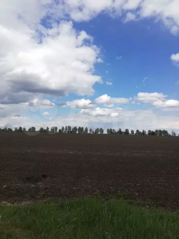 Участок 10 сот. (ИЖС) - Фото 0