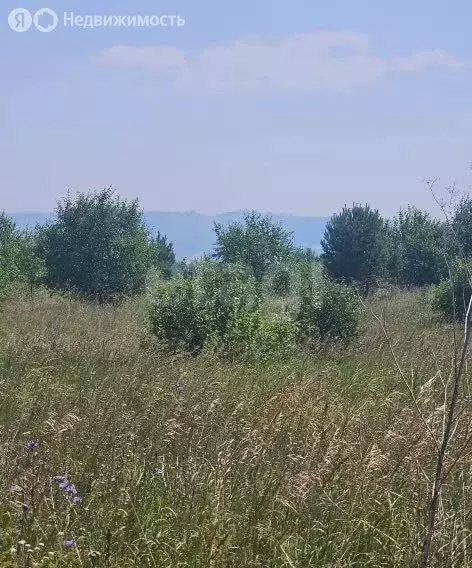 Участок в Майминский район, село Подгорное, Спортивная улица (12 м) - Фото 2