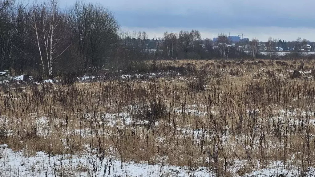 Участок в Московская область, Домодедово городской округ, д. Ловцово  ... - Фото 0