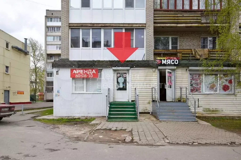 Сдам помещение свободного назначения, 53 м - Фото 1