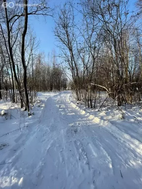 Участок в Тобольск, садоводческое товарищество Вымпел (11.3 м) - Фото 0