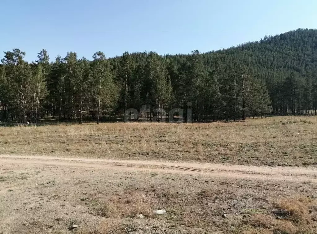 Участок в Бурятия, Иволгинский район, Сотниковское с/пос, с. ... - Фото 1