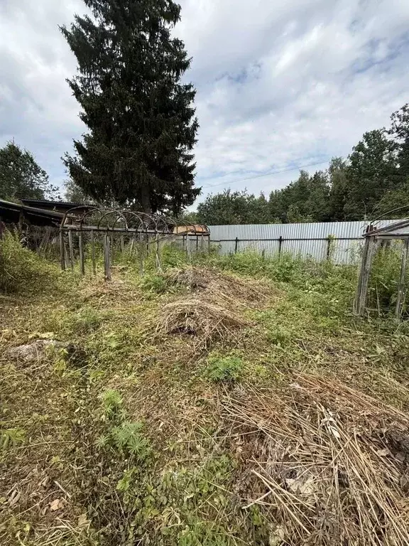 Участок в Московская область, Щелково городской округ, Березка СНТ ул. ... - Фото 2