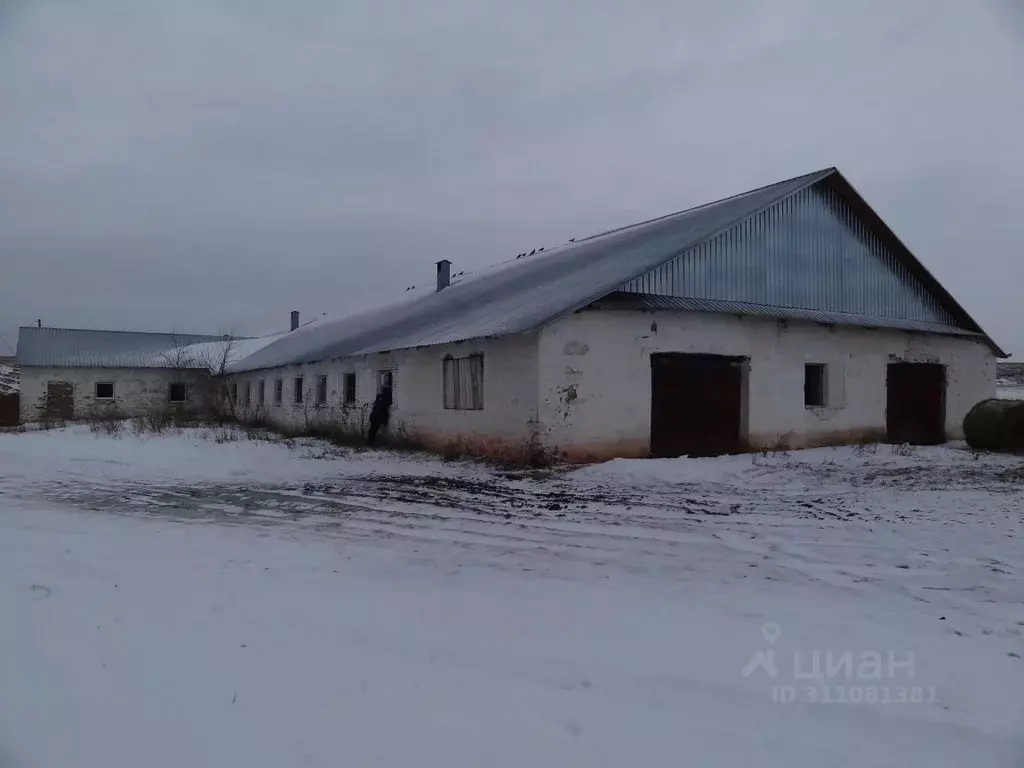 Помещение свободного назначения в Башкортостан, Миякинский район, ... - Фото 0