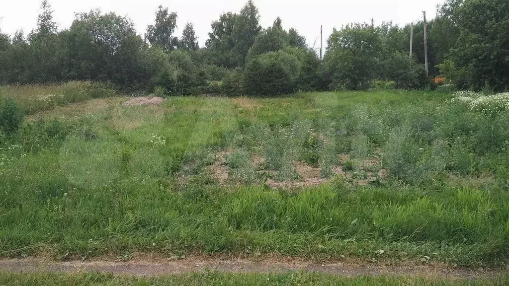 Участок 9 сот. (ИЖС) - Фото 0