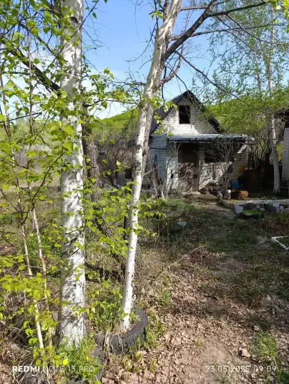 Участок в Амурская область, Благовещенск Росинка СНТ,  (9.0 сот.) - Фото 0