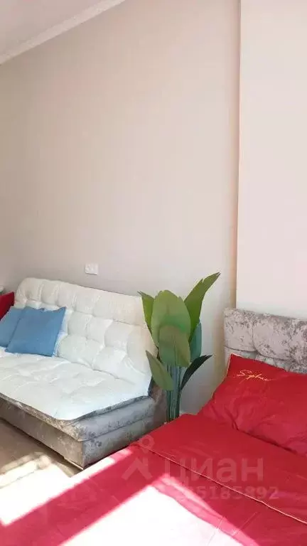 1-к кв. Крым, Ялта ул. Киевская, 44 (30.0 м) - Фото 2