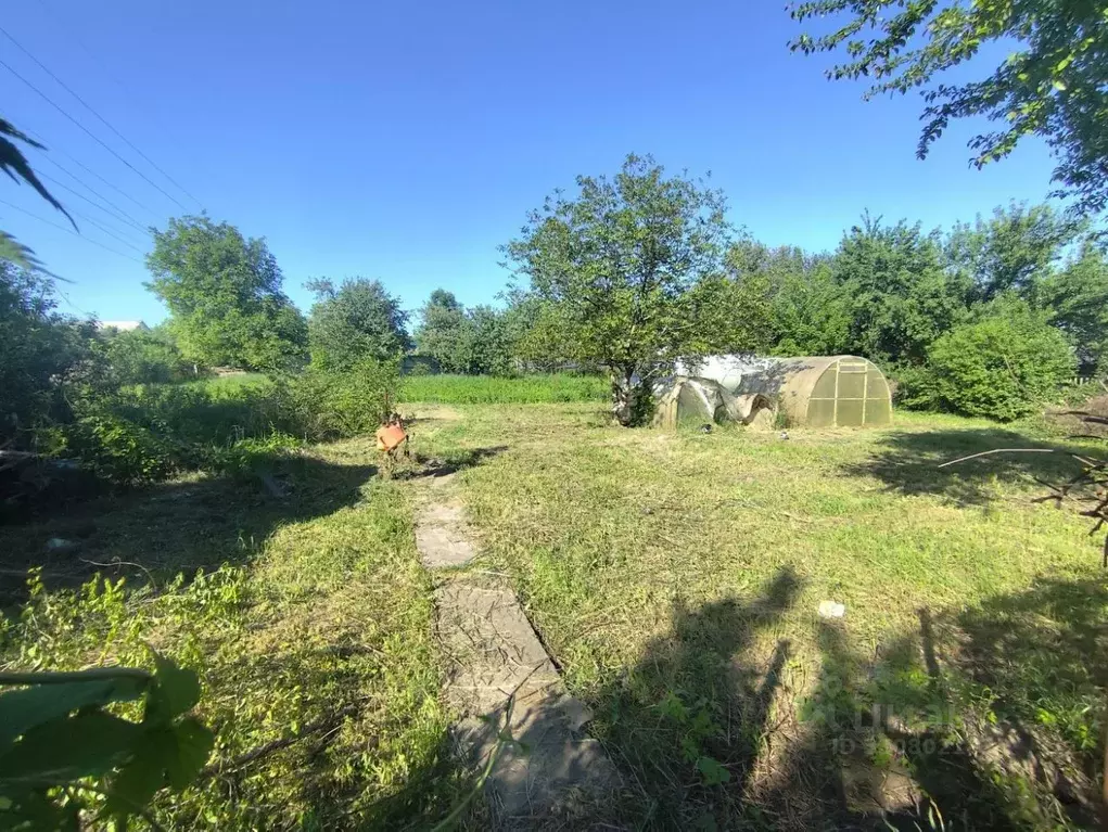 Участок в Курская область, Курск Курск СНТ, 367 (6.0 сот.) - Фото 1