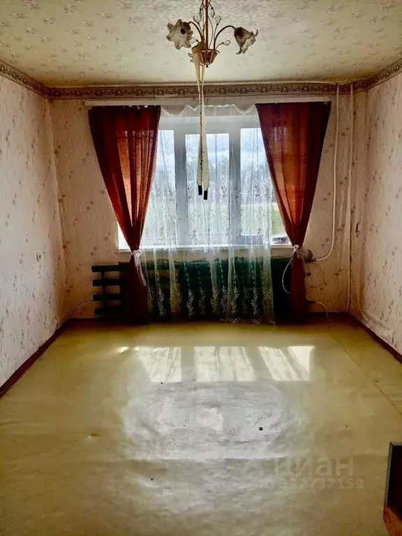 1-к кв. Ленинградская область, Бокситогорский район, Ефимовское ... - Фото 1