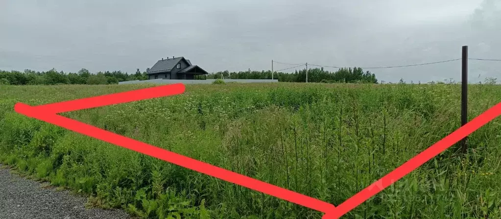 Участок в Ленинградская область, Тосненское городское поселение, д. ... - Фото 0