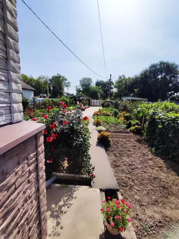 Дом в Амурская область, Благовещенск Северная ул., 13 (256 м) - Фото 1