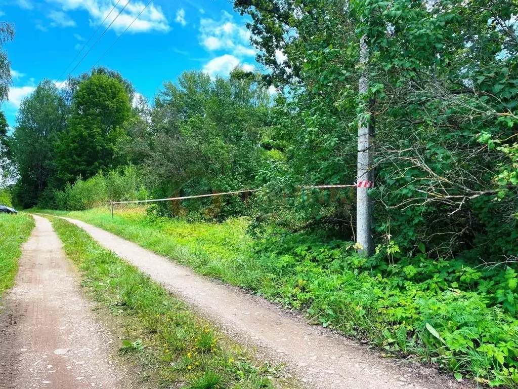 Участок в Псковская область, Порховский муниципальный округ, д. ... - Фото 1