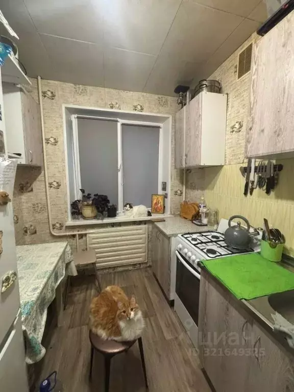 1-к кв. Башкортостан, Уфа ул. Лесотехникума, 26 (22.5 м) - Фото 1