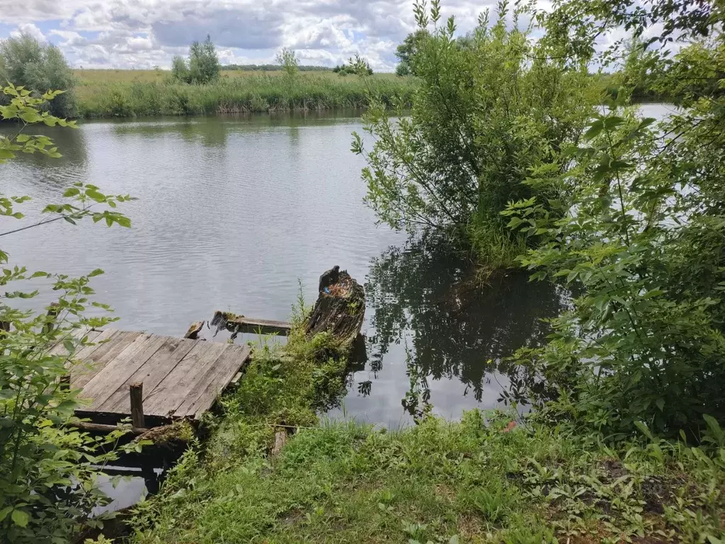 Дом в Орловская область, Урицкий район, Котовское с/пос, пос. ... - Фото 2